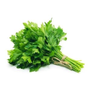 CORIANDER