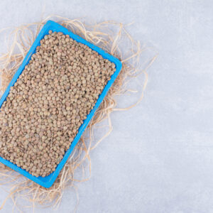 Fodder Cowpea