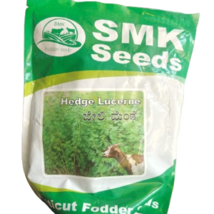 Hedge Lucerne