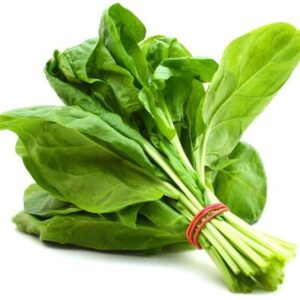 PALAK