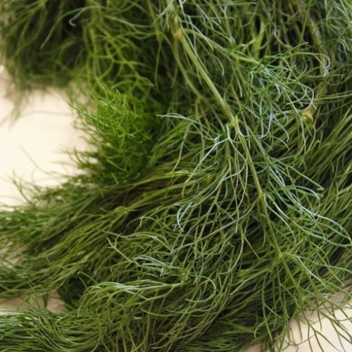 Dill Leaves Rice Flour Rotti_Sabbisige Soppu Akki Rotti